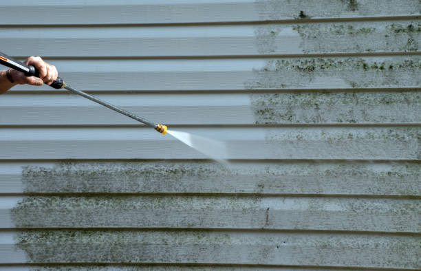 Best Roof Power Washing Services  in Bridgeport, MI