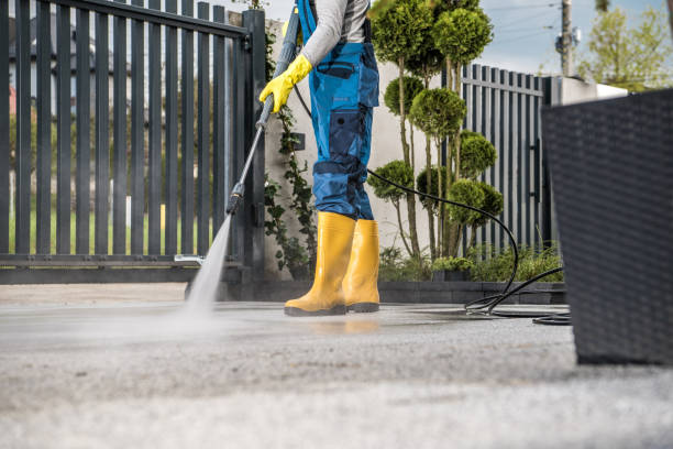 Best Pressure Washing Company Near Me  in Bridgeport, MI
