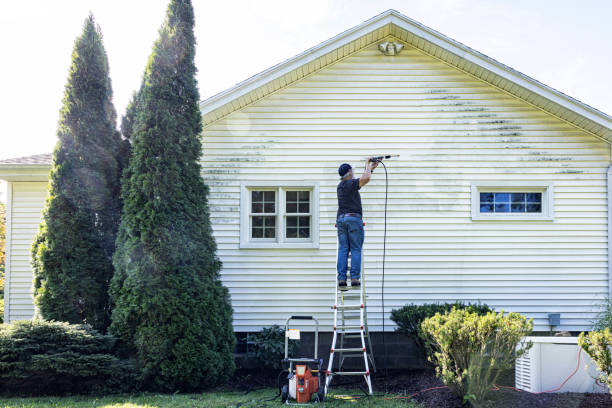 Best House Pressure Washing  in Bridgeport, MI