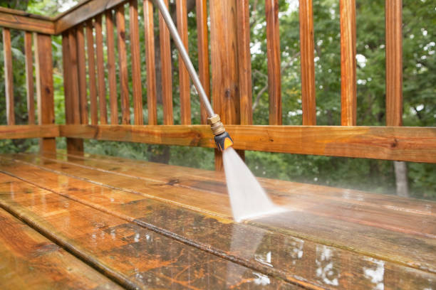 Best Local Pressure Washing Services  in Bridgeport, MI