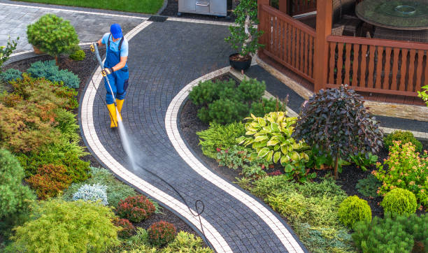 Best Best Pressure Washing Companies  in Bridgeport, MI
